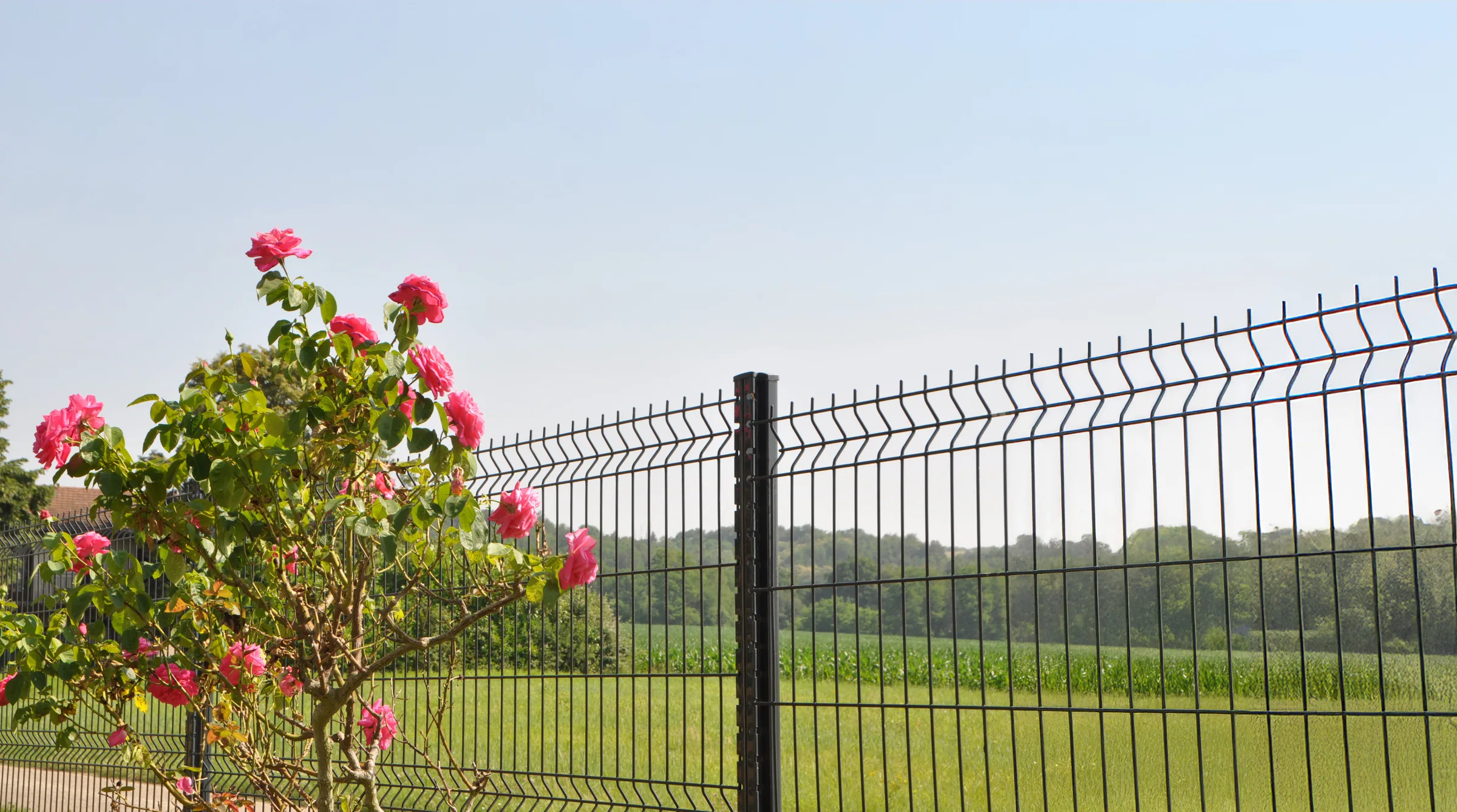Panneau Rigide Pro+ anthracite installé en limite de jardin avec végétation.